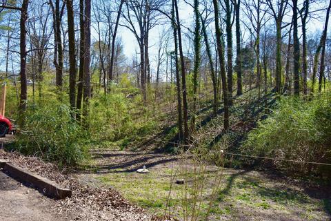 771 White Goose Cv, Hernando, MS 38632 photo 2