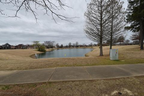 7276 E Wind Park Dr, Olive Branch, MS 38654 photo 30