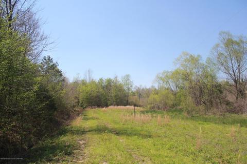 1519 Co Rd 14, Myrtle, MS 38650 photo 4