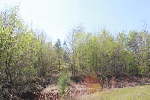 1519 Co Rd 14, Myrtle, MS 38650 photo 7
