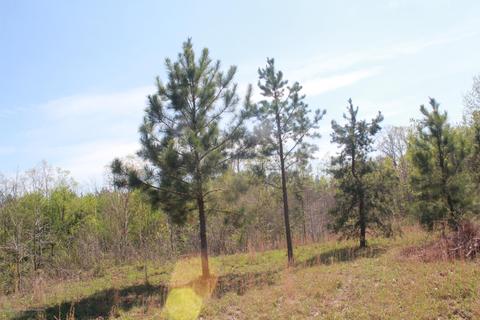 1519 Co Rd 14, Myrtle, MS 38650 photo 24