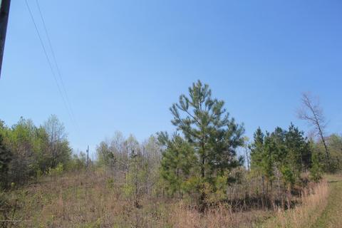 1519 Co Rd 14, Myrtle, MS 38650 photo 10