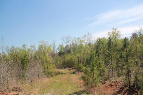 1519 Co Rd 14, Myrtle, MS 38650 photo 12