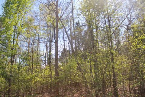 1519 Co Rd 14, Myrtle, MS 38650 photo 6