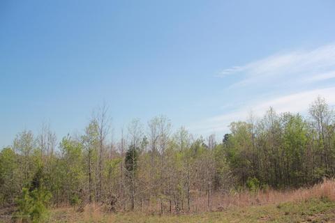 1519 Co Rd 14, Myrtle, MS 38650 photo 17