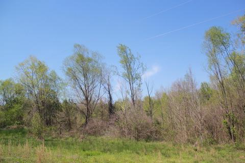 1519 Co Rd 14, Myrtle, MS 38650 photo 5
