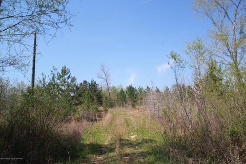 1519 Co Rd 14, Myrtle, MS 38650 photo 8