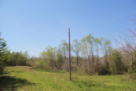 1519 Co Rd 14, Myrtle, MS 38650 photo 2