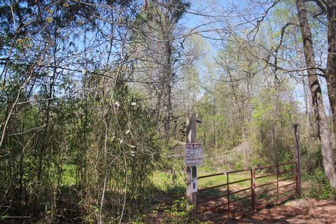 1519 Co Rd 14, Myrtle, MS 38650 photo 1