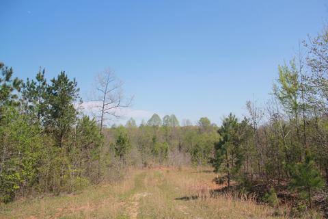 1519 Co Rd 14, Myrtle, MS 38650 photo 18