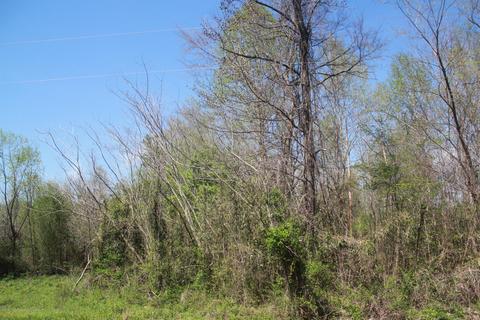 1519 Co Rd 14, Myrtle, MS 38650 photo 3