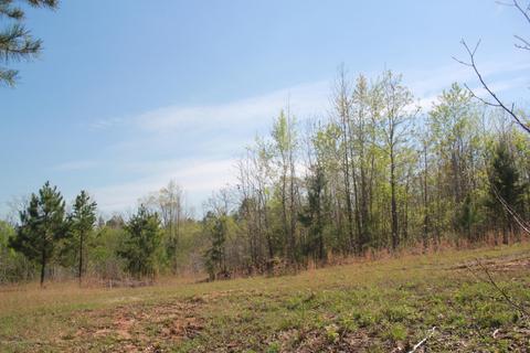 1519 Co Rd 14, Myrtle, MS 38650 photo 23
