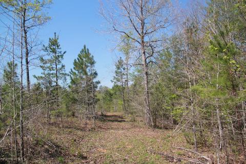 1519 Co Rd 14, Myrtle, MS 38650 photo 19