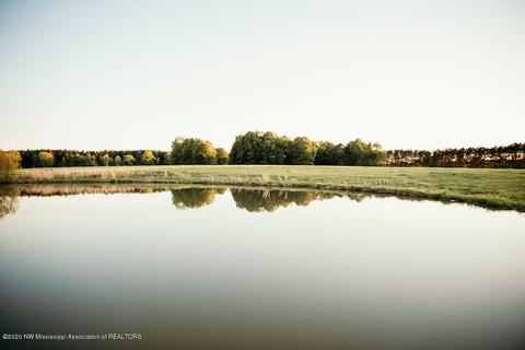 305 Jayme Lynn Dr, Como, MS 38619 photo 28