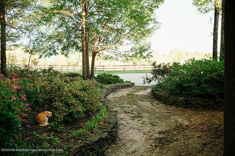 305 Jayme Lynn Dr, Como, MS 38619 photo 19