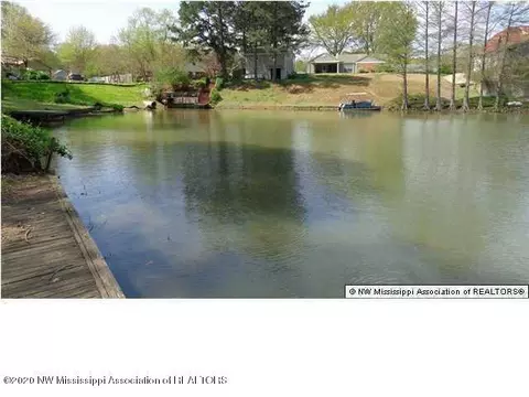 4496 Thun Cv, Nesbit, MS 38651 photo 5