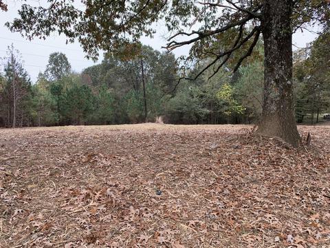 5 Mays Rd, Coldwater, MS 38618 photo 2