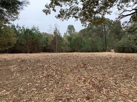 5 Mays Rd, Coldwater, MS 38618 photo 3