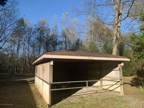 6328 Primrose Ln, Walls, MS 38680 photo 17