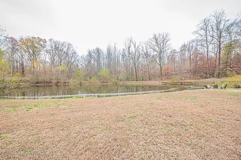 10095 Emerald Forest Dr, Hernando, MS 38632 photo 25