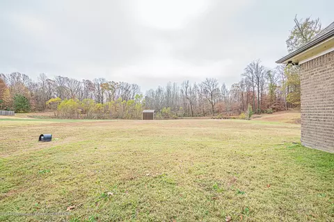 10095 Emerald Forest Dr, Hernando, MS 38632 photo 26