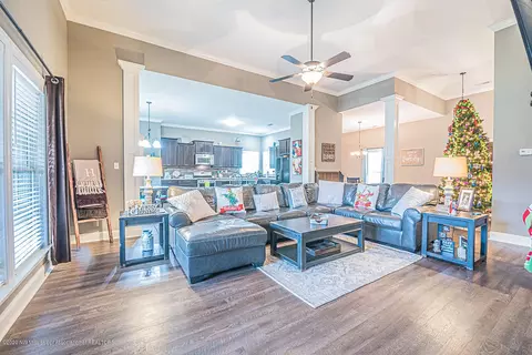 10095 Emerald Forest Dr, Hernando, MS 38632 photo 8