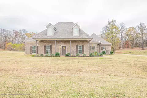10095 Emerald Forest Dr, Hernando, MS 38632 photo 1