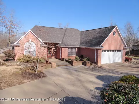 4730 Bienville Rd, Nesbit, MS 38651 photo 1