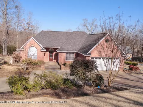 4730 Bienville Rd, Nesbit, MS 38651 photo 2