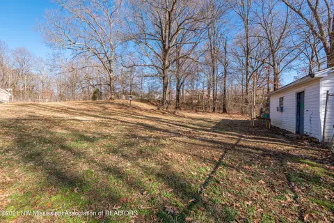 1154 Broady Rd, Nesbit, MS 38651 photo 15