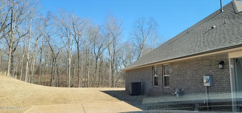 9682 Vaughters Cv, Olive Branch, MS 38654 photo 18