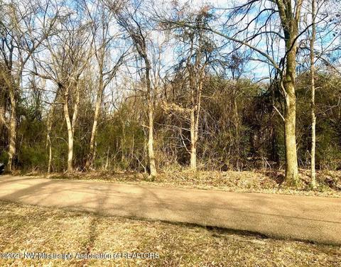 13 E Shahkoka Dr, Olive Branch, MS 38654