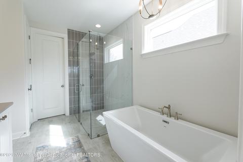 Bath - 3075 Tina Renee Ln, Nesbit, MS 38651 photo 5 of 6