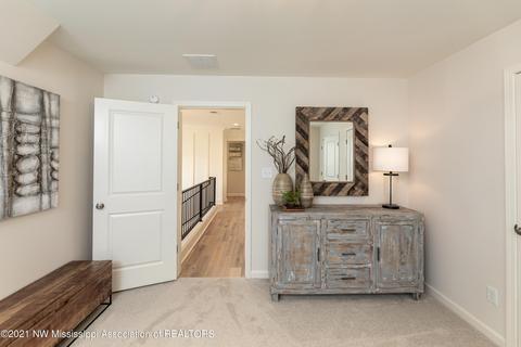 Other - 3075 Tina Renee Ln, Nesbit, MS 38651 photo 1 of 4