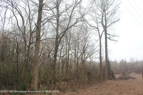 9 Highway 7, Holly Springs, MS 38635