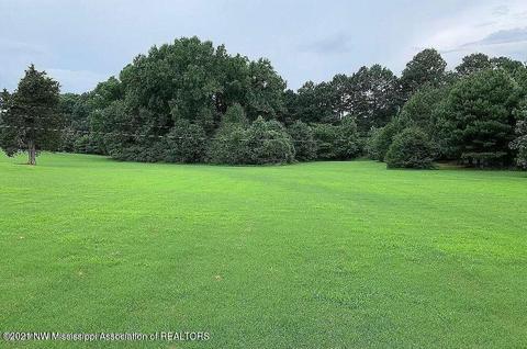 7345 Eastern Dr, Olive Branch, MS 38654 photo 2