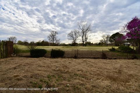 771 Fairway Trl, Hernando, MS 38632 photo 14