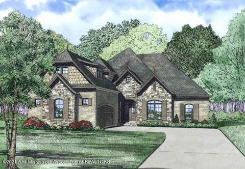 2091 W Watson Vw, Nesbit, MS 38651 photo 1