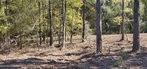 152 Luke Ln, Coldwater, MS 38618 photo 1