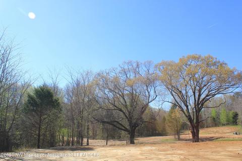 4220 S Getwell Rd, Hernando, MS 38632 photo 13