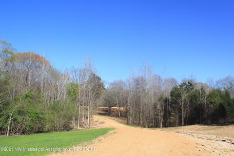 4220 S Getwell Rd, Hernando, MS 38632 photo 3