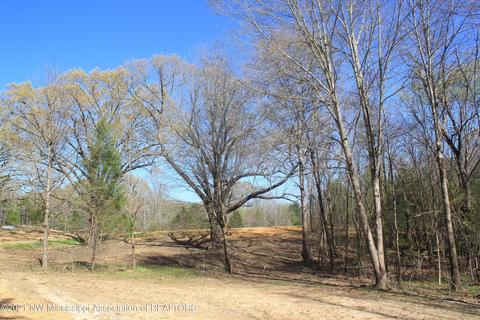 4220 S Getwell Rd, Hernando, MS 38632 photo 8