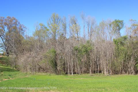 4220 S Getwell Rd, Hernando, MS 38632 photo 4