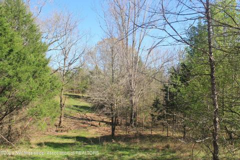 4220 S Getwell Rd, Hernando, MS 38632 photo 17