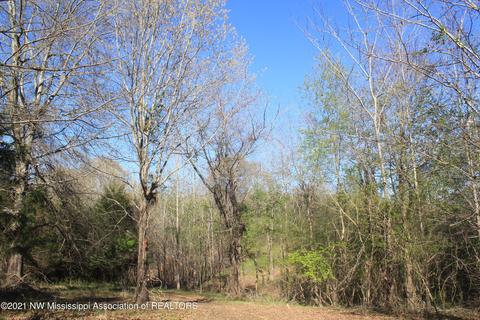4220 S Getwell Rd, Hernando, MS 38632 photo 28