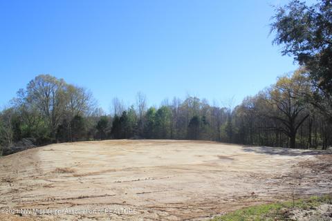 4220 S Getwell Rd, Hernando, MS 38632 photo 23