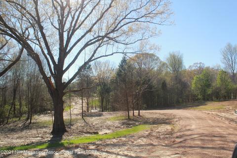 4220 S Getwell Rd, Hernando, MS 38632 photo 31