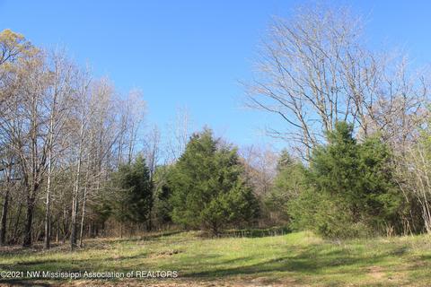 4220 S Getwell Rd, Hernando, MS 38632 photo 15
