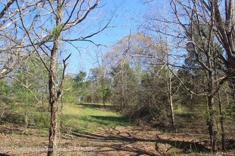 4220 S Getwell Rd, Hernando, MS 38632 photo 18