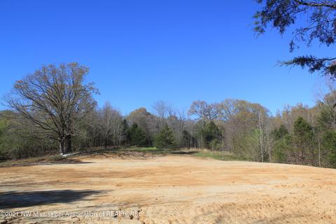 4220 S Getwell Rd, Hernando, MS 38632 photo 27